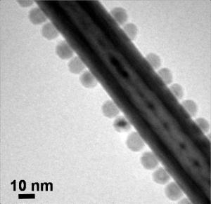 WS2 nanotube