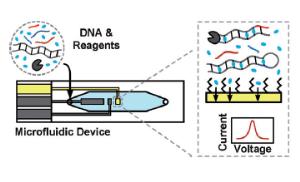 Single-step DNA detection